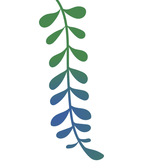 daun panjang kecil
